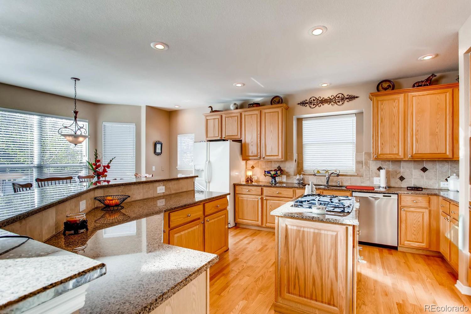 9717 Sylvestor Road Highlands Ranch, CO 80129 - Photo 10 of 28 Gallery Image 10
