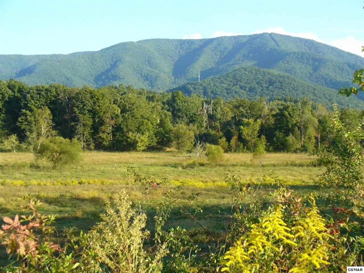 2 Wears Valley Road Sevierville, TN 37862 - Photo 14 of 14