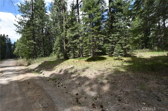 a view of a yard with a tree