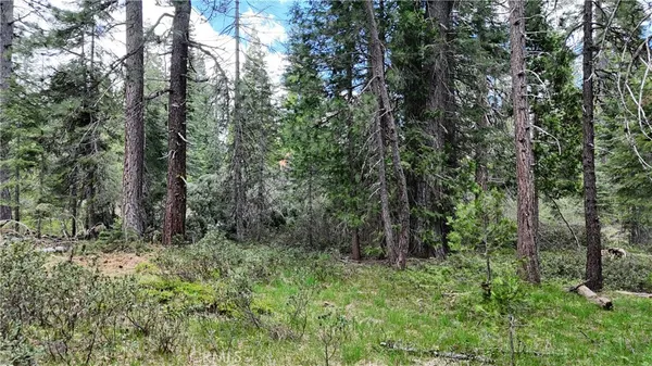 a view of outdoor space and green space