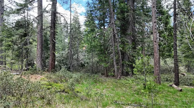 a view of outdoor space and green space