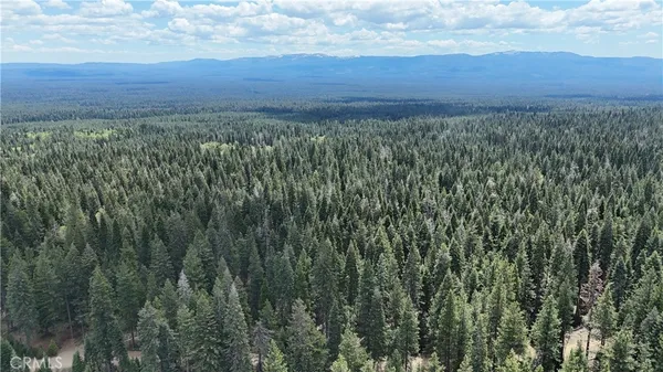 a view of a green field with two lush green forest