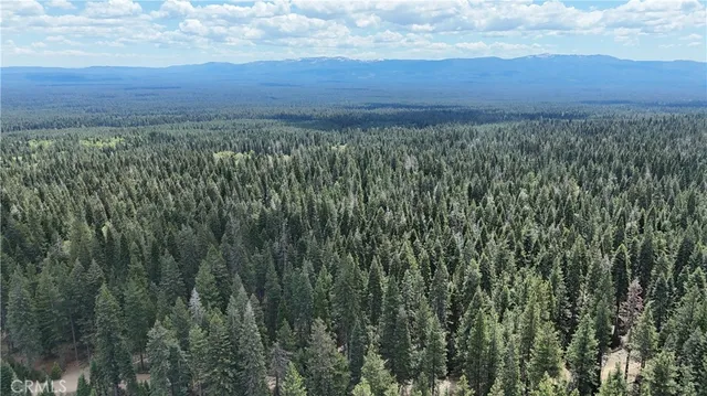 a view of a green field with two lush green forest