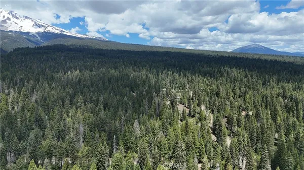 a view of a lake from a yard