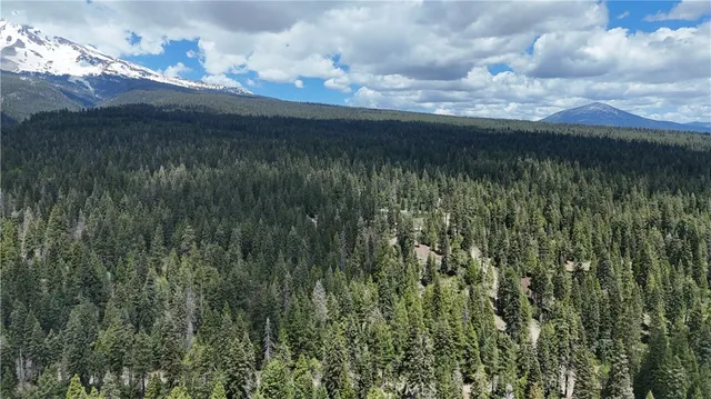 a view of a lake from a yard