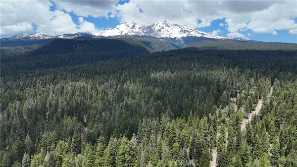 a view of a lake in a forest