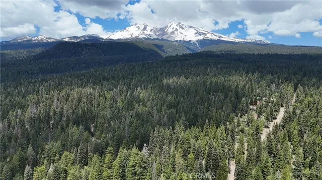 a view of a lake in a forest