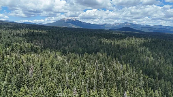 a view of a lake from a yard