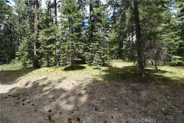 a view of a yard with trees