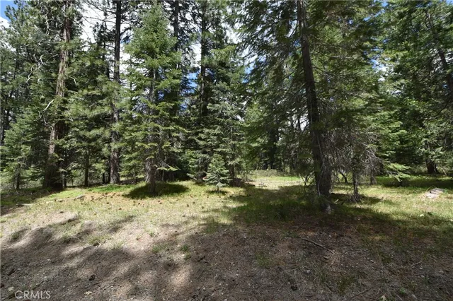 a view of a yard with large trees