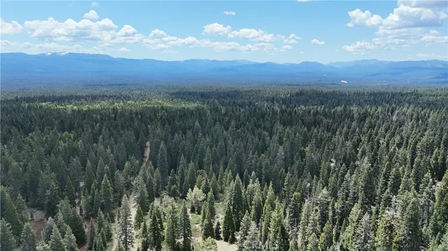 a view of a city with lush green forest