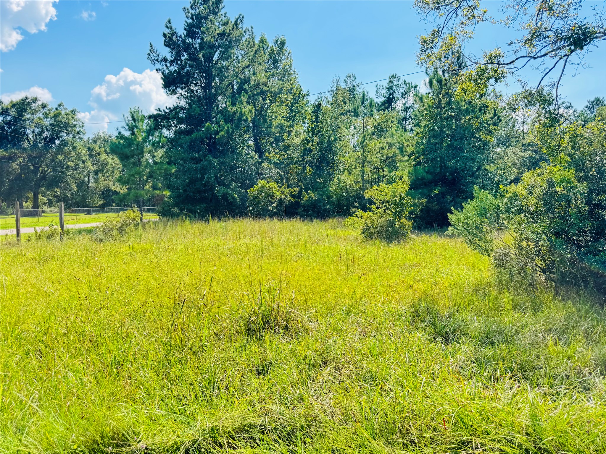 2736 Whitetail Forest Road Kountze, TX 77625 - Photo 11 of 17 Gallery Image 11