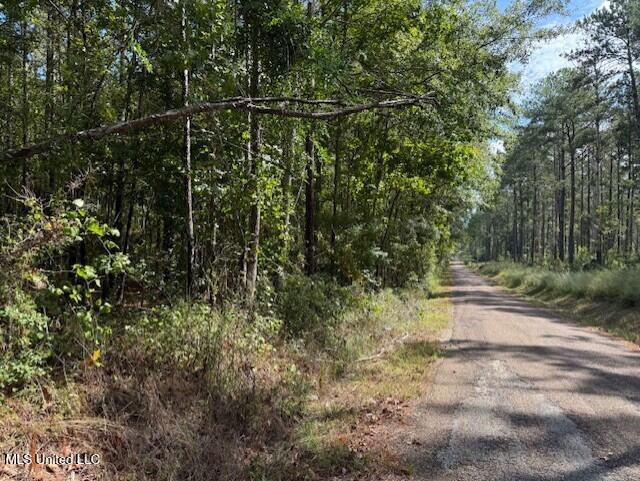5464 A Pecan Orchard Road Liberty, MS 39645 - Photo 13 of 14 thumbnail_IMG_2384