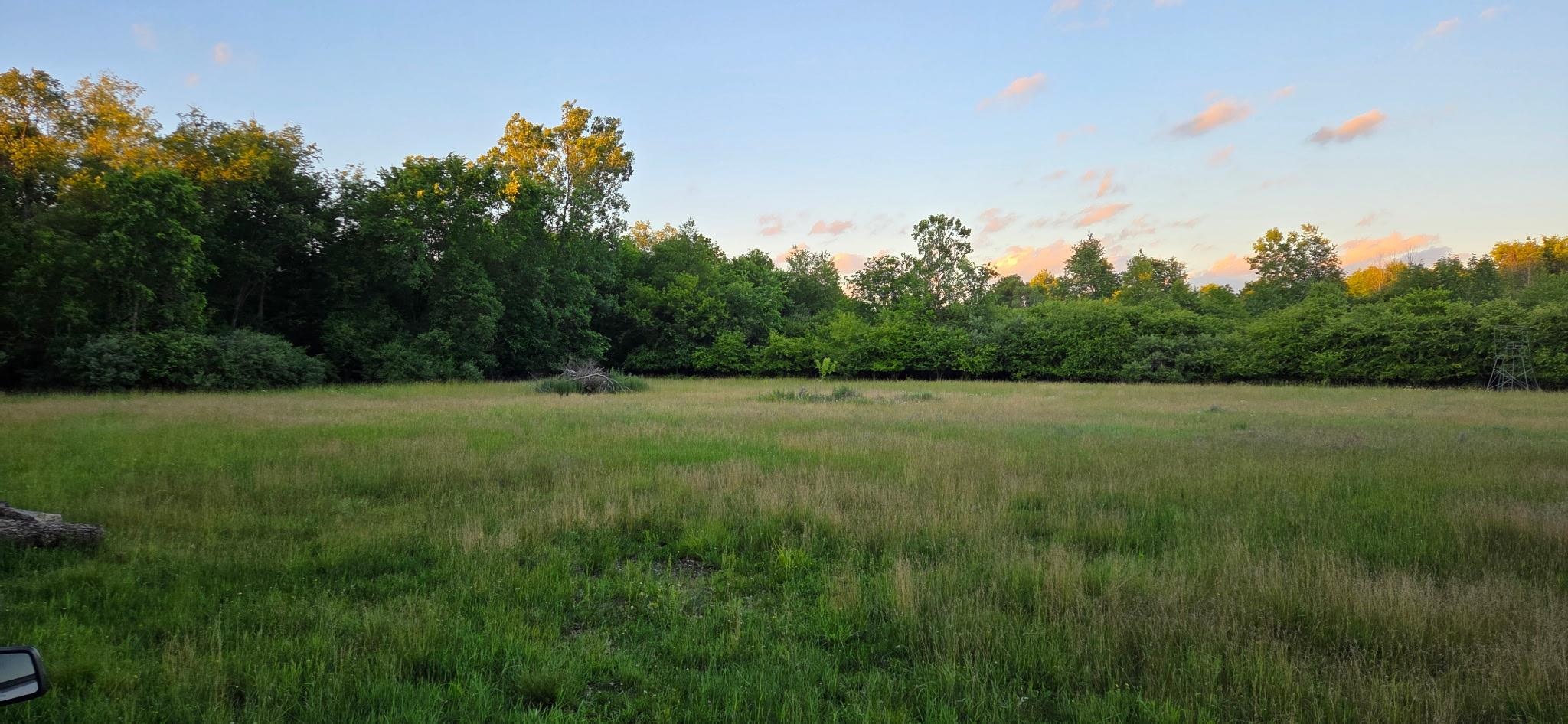 0 Crosby Road Flint, MI 48506 - Photo 4 of 7