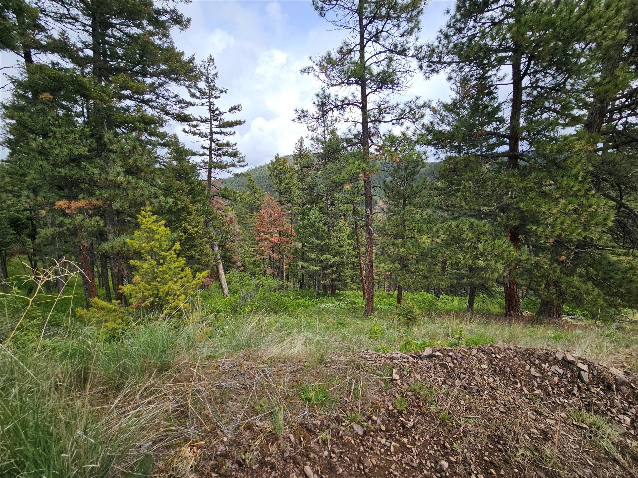 18866 Copper Rdg Trail Florence, MT 59833 - Photo 41 of 139 Gallery Image 41