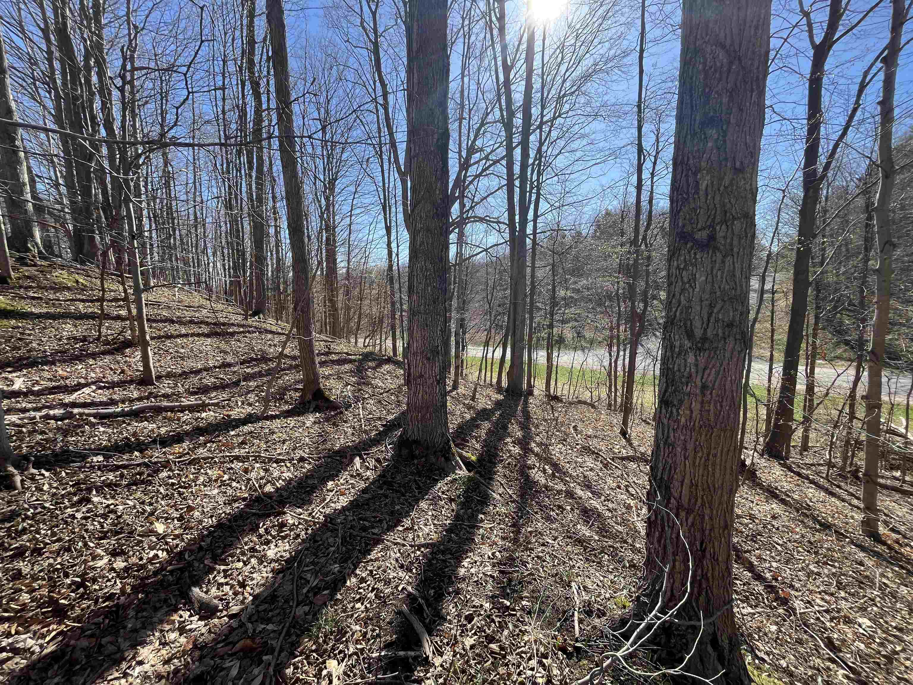 Parcel D Lobb Road Frankfort, MI 49635 - Photo 4 of 13
