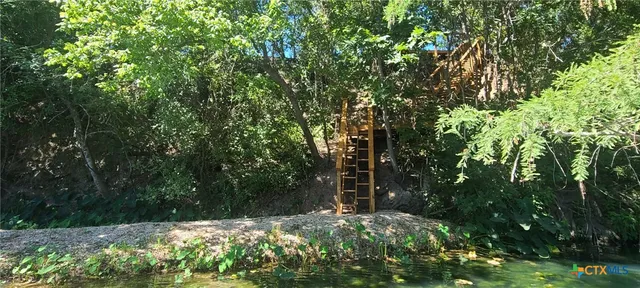 a view of a yard with a tree