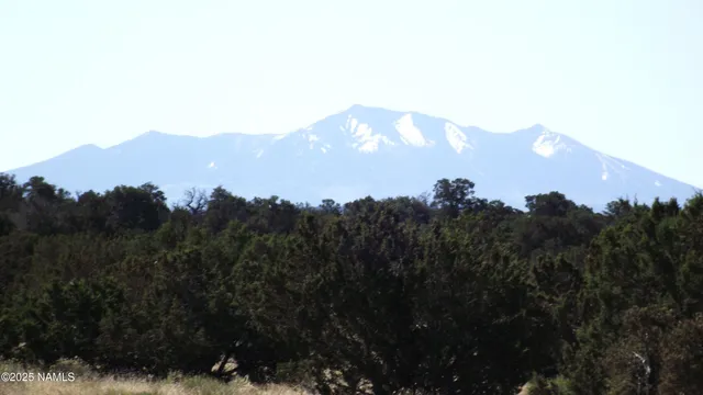 $10,000 | 2256 South Bluebell Street, Williams, AZ 86046