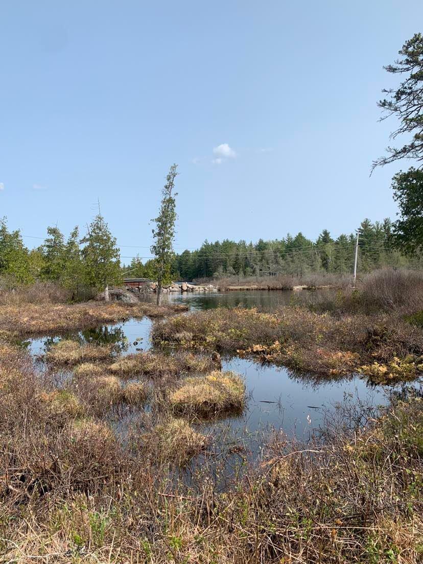 35 Shore Road Brownville, ME 04414 - Photo 60 of 60 Schoodic 1
