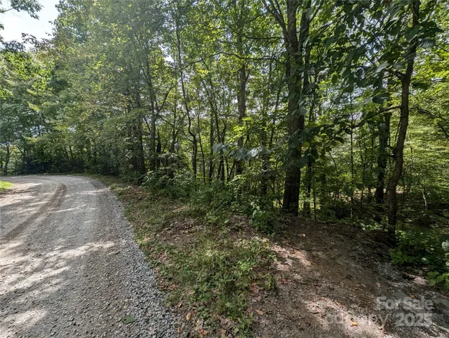 a view of outdoor space and trees