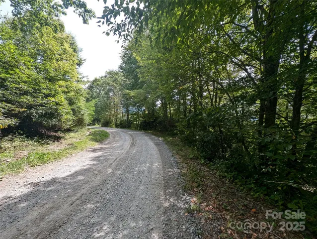 a view of a dirt road with trees in the background