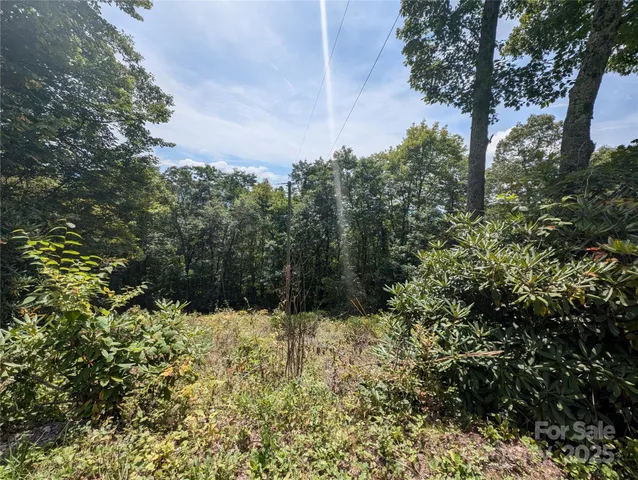 a view of a large yard with lots of bushes
