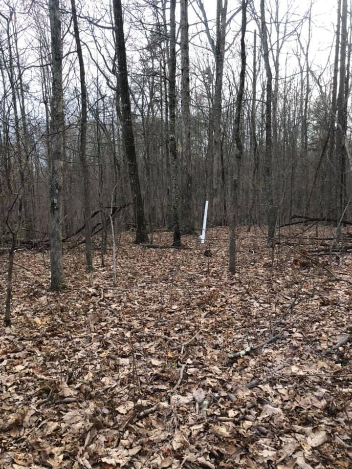 1 Climax Road Mount Vernon, KY 40456 - Photo 13 of 17 Photo 13