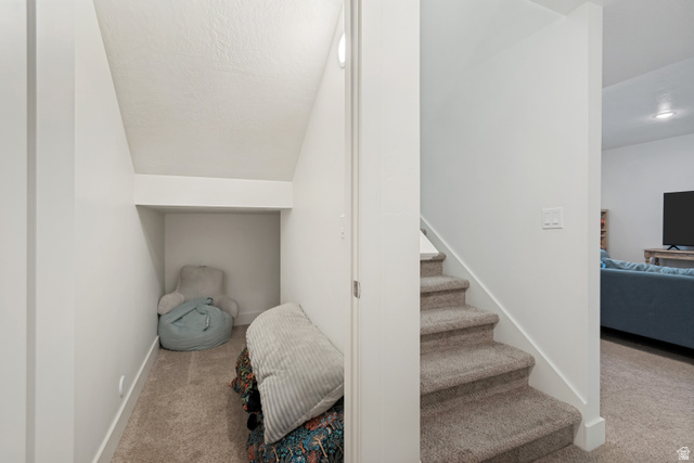 683 Kings Landing Tooele, UT 84074 - Photo 34 of 39 Carpeted under-stair storage nook featuring an overhead light and white baseboards