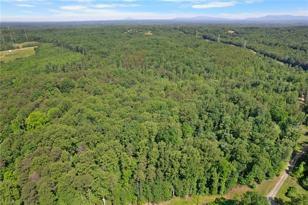 0 Davis Road Walkertown, NC 27051 - Photo 4 of 11