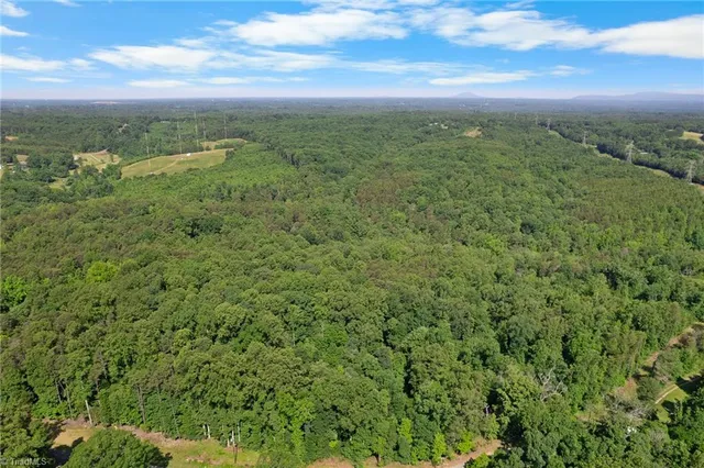 $460,000 | 0 Davis Road, Walkertown, NC 27051