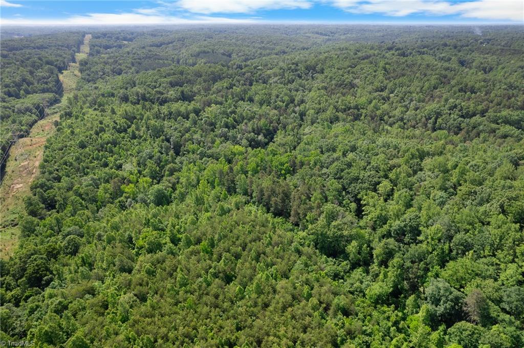 0 Davis Road Walkertown, NC 27051 - Photo 7 of 11