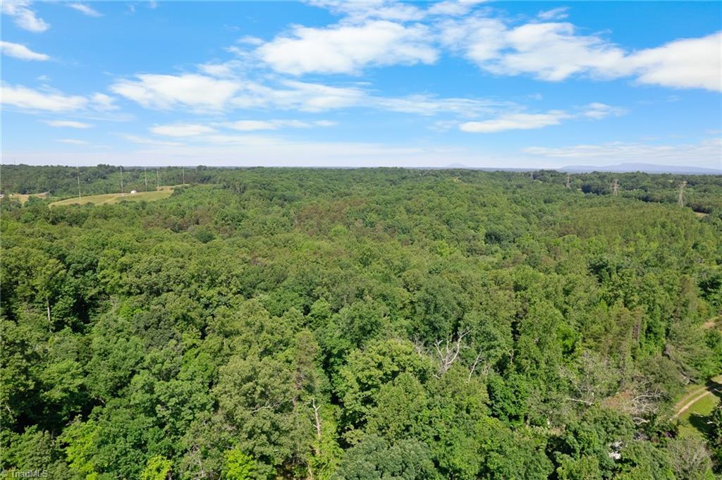 0 Davis Road Walkertown, NC 27051 - Photo 8 of 11