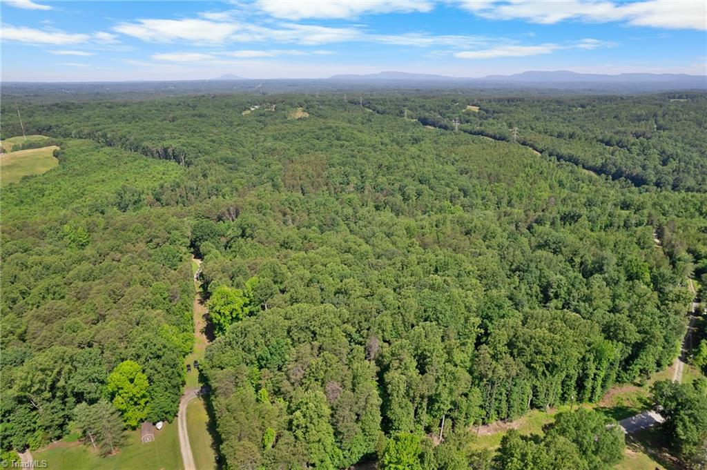 0 Davis Road Walkertown, NC 27051 - Photo 9 of 11