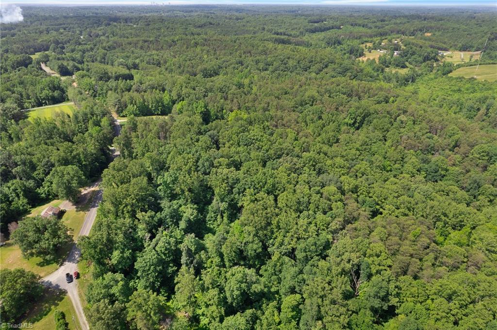 0 Davis Road Walkertown, NC 27051 - Photo 10 of 11