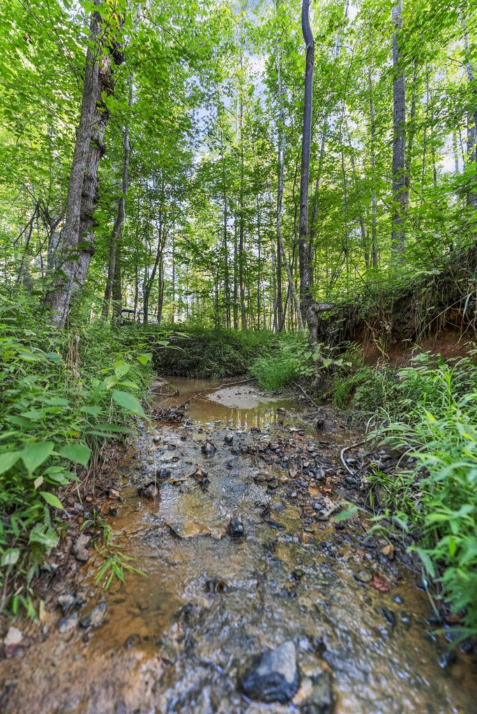 0 Gully Tavern Road Rice, VA 23966 - Photo 18 of 25 Gallery Image 18