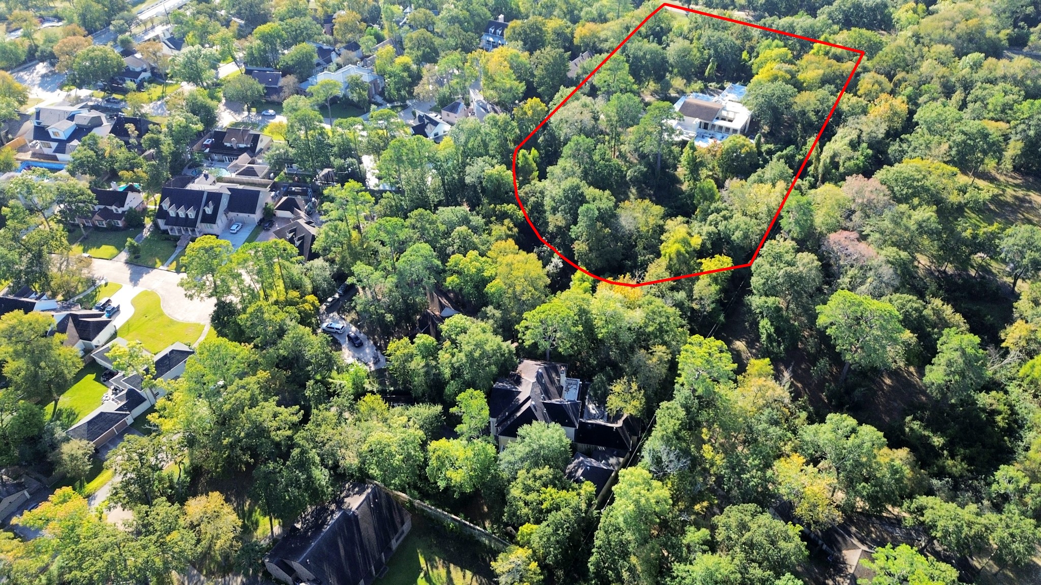 415 White Wing Lane Houston, TX 77079 - Photo 32 of 38 a view of a garden with a tree