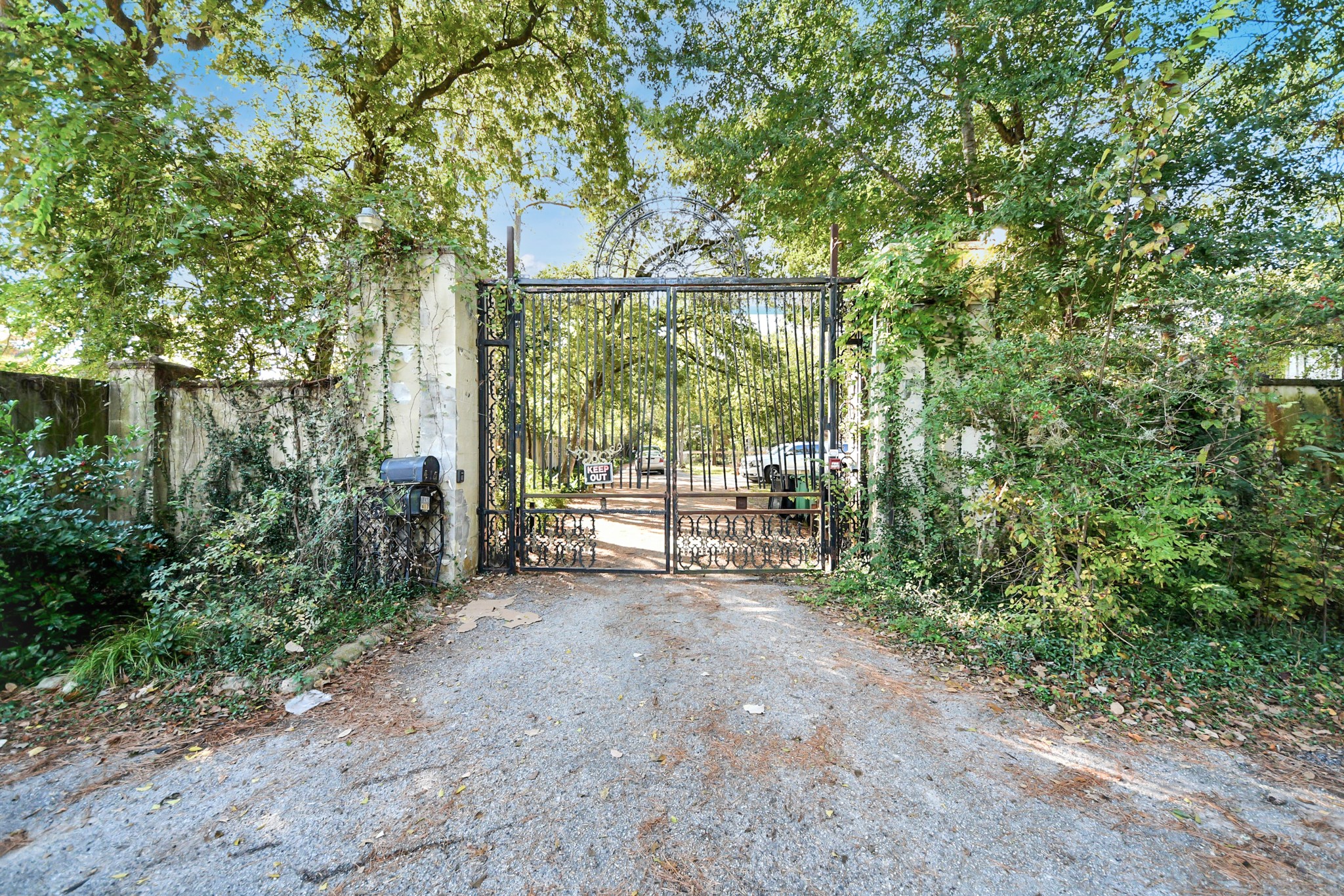 415 White Wing Lane Houston, TX 77079 - Photo 37 of 38 a view of a garden with large trees