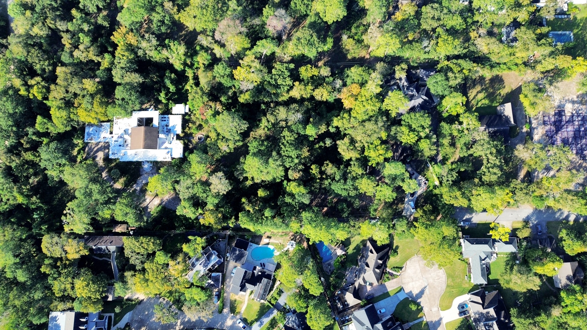 415 White Wing Lane Houston, TX 77079 - Photo 4 of 38 a backyard of a house with lots of green space