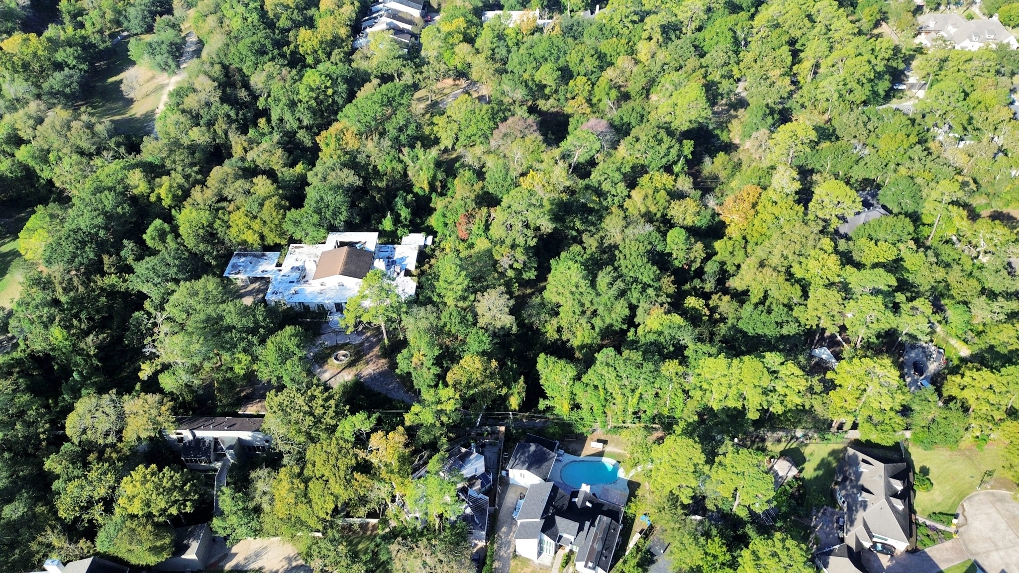 415 White Wing Lane Houston, TX 77079 - Photo 6 of 38 a view of a plant with a tree
