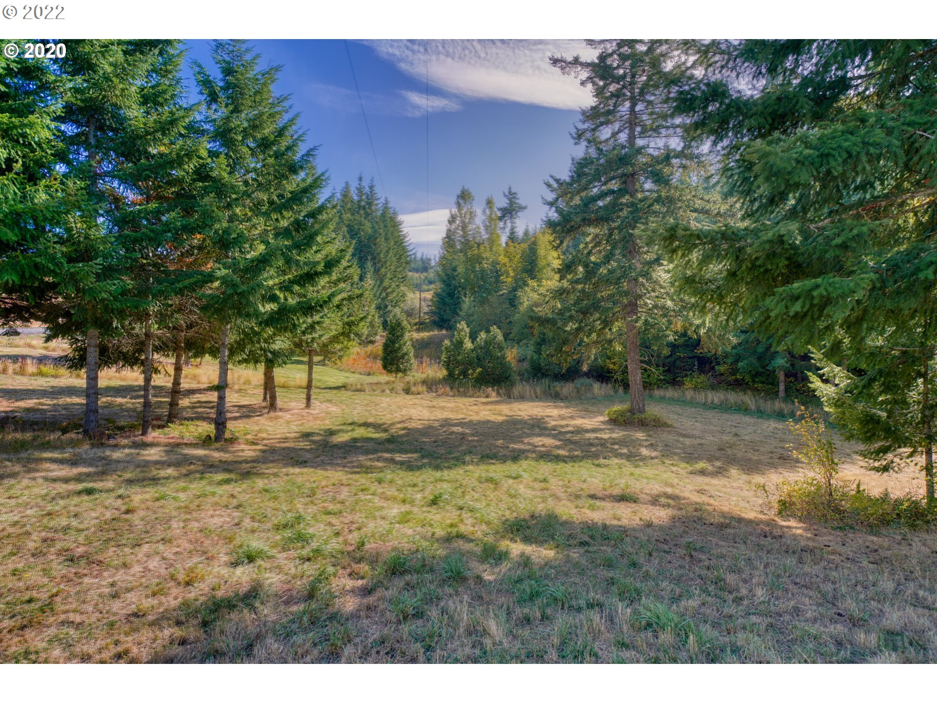 5 Cloud Line Road White Salmon, WA 98672 - Photo 16 of 40 a view of a yard with a tree