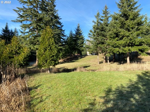 5 Cloud Line Road White Salmon, WA 98672 - Photo 32 of 40 a view of yard with green space