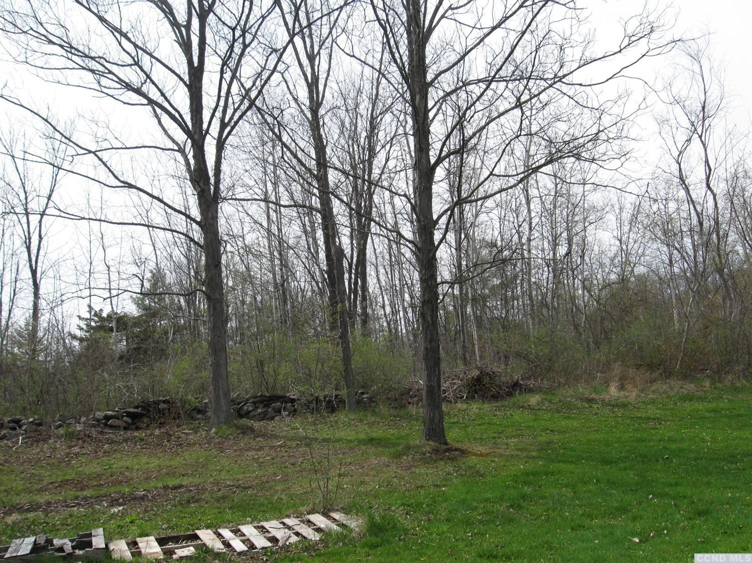 379 Cty Route Medusa, NY 12120 - Photo 4 of 10 a view of a backyard