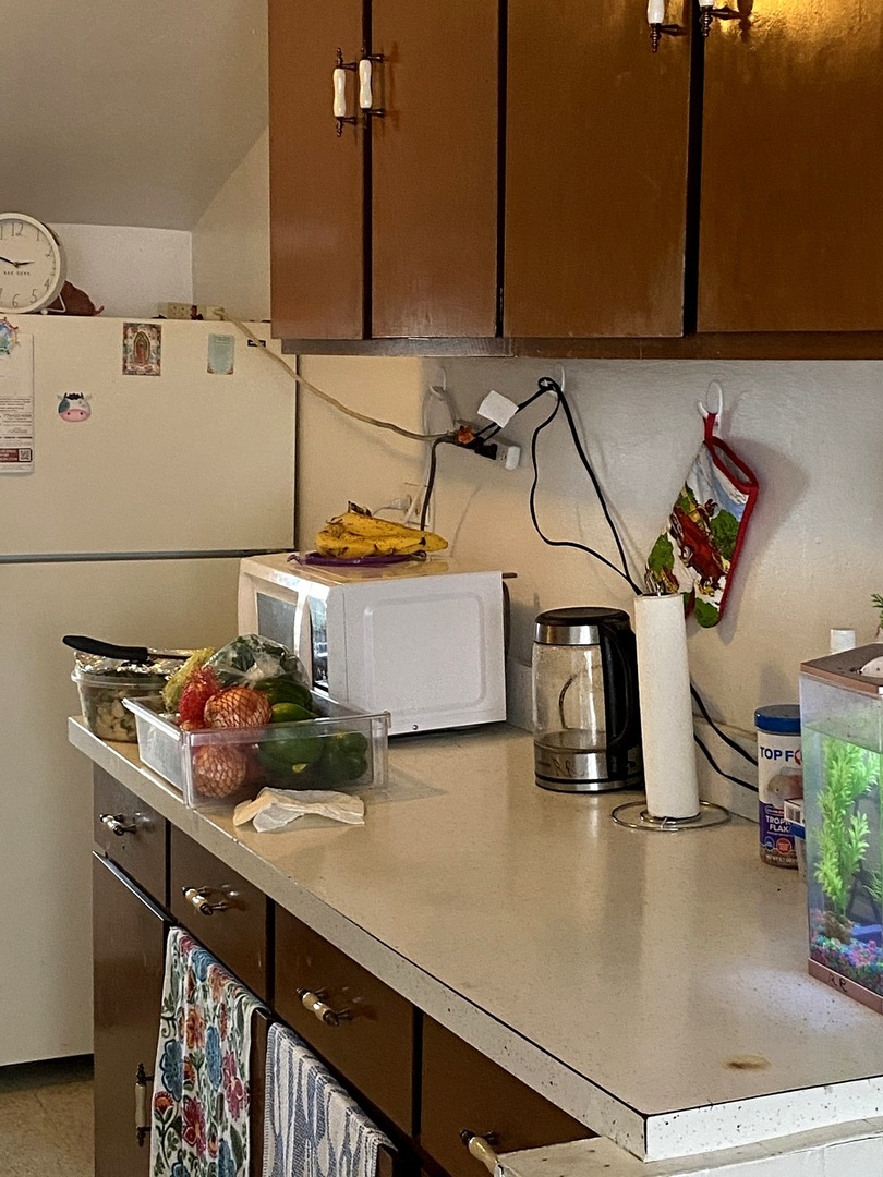 Undisclosed Address Chicago, IL 60639 - Photo 10 of 20 a kitchen with a sink cabinets and appliances