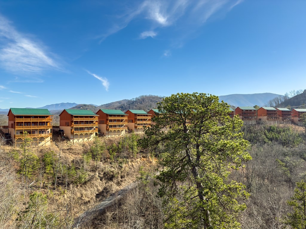 2517 Laurel Point Way, Unit LAZYBEARLODGE Sevierville, TN 37862 - Photo 49 of 51 Gallery Image 49