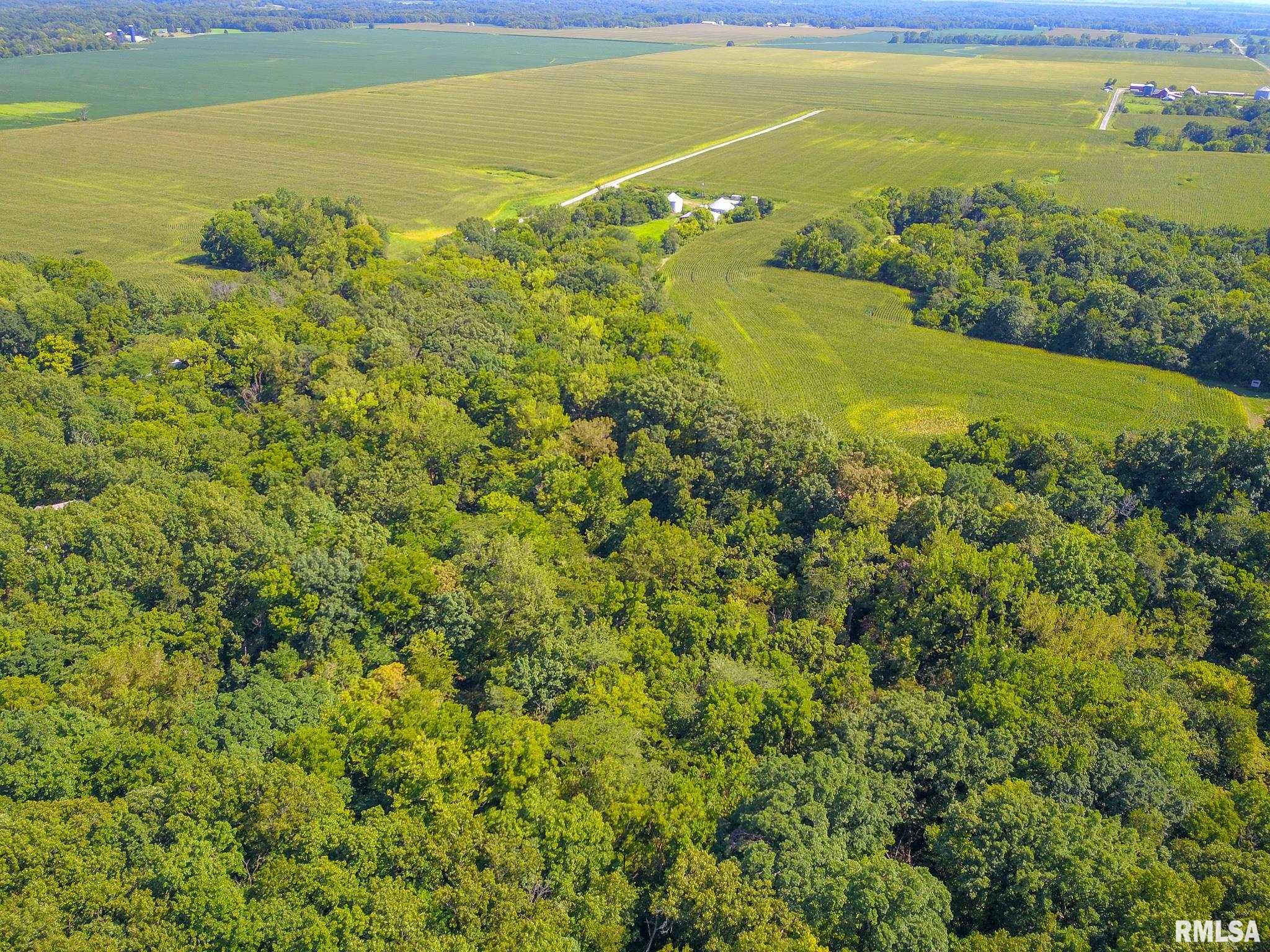28615 Sportsman Club Road Palmyra, IL 62674 - Photo 54 of 75
