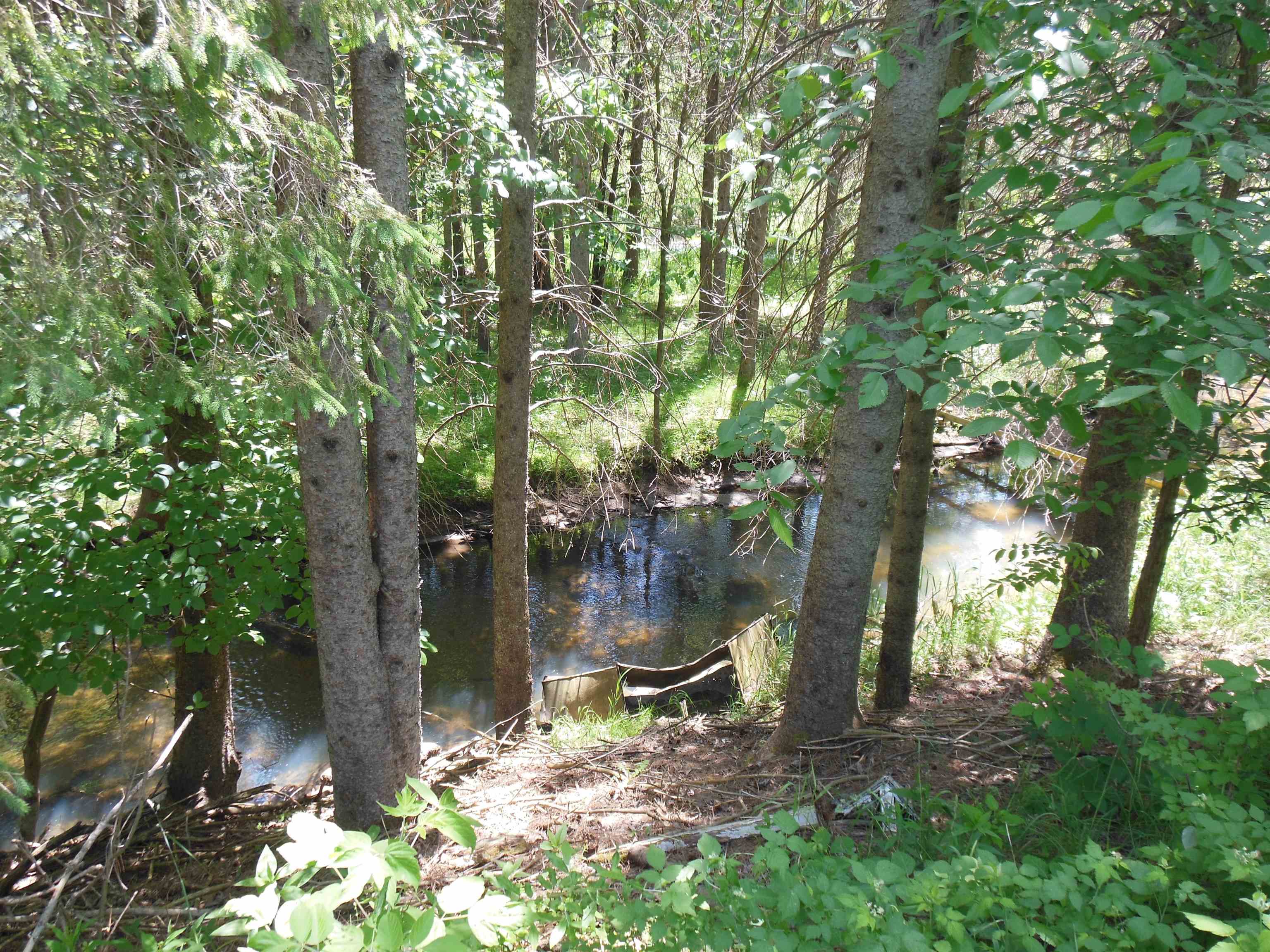 10-acres East Stockwell Road Gladwin, MI 48624 - Photo 9 of 19 Gallery Image 9