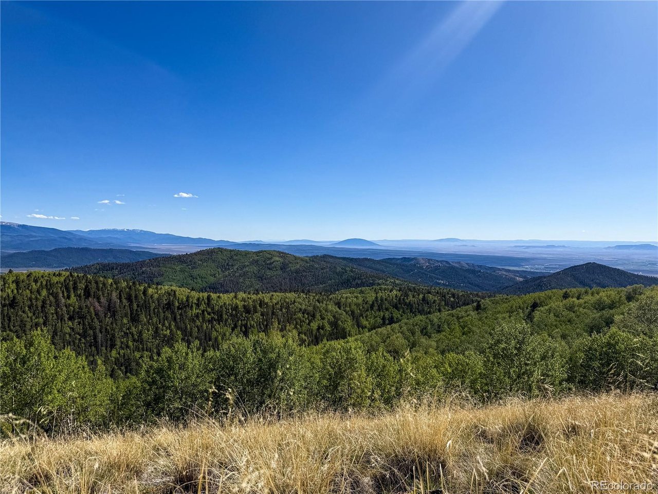 6829 Ryland Road San Luis, CO 81152 - Photo 13 of 28 a view of a lake with a forest
