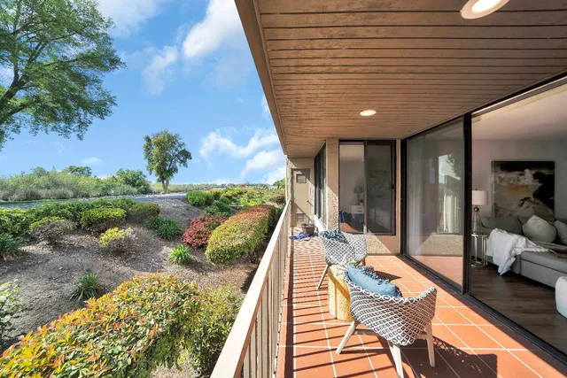 a view of a park that has a tree on it