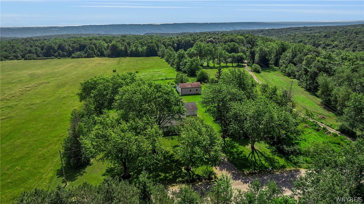 8009 Lewis Road Colden, NY 14080 - Photo 48 of 50