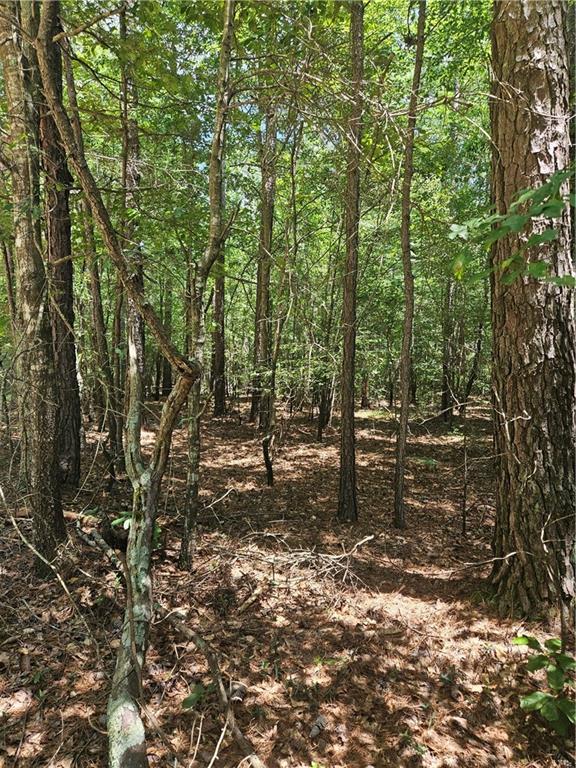 292 Mccannon Road Carlton, GA 30627 - Photo 13 of 21
